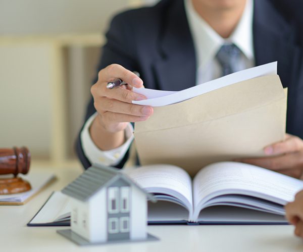 The lawyer is currently providing legal advice on real estate trading.